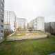 DSC07971.jpg
